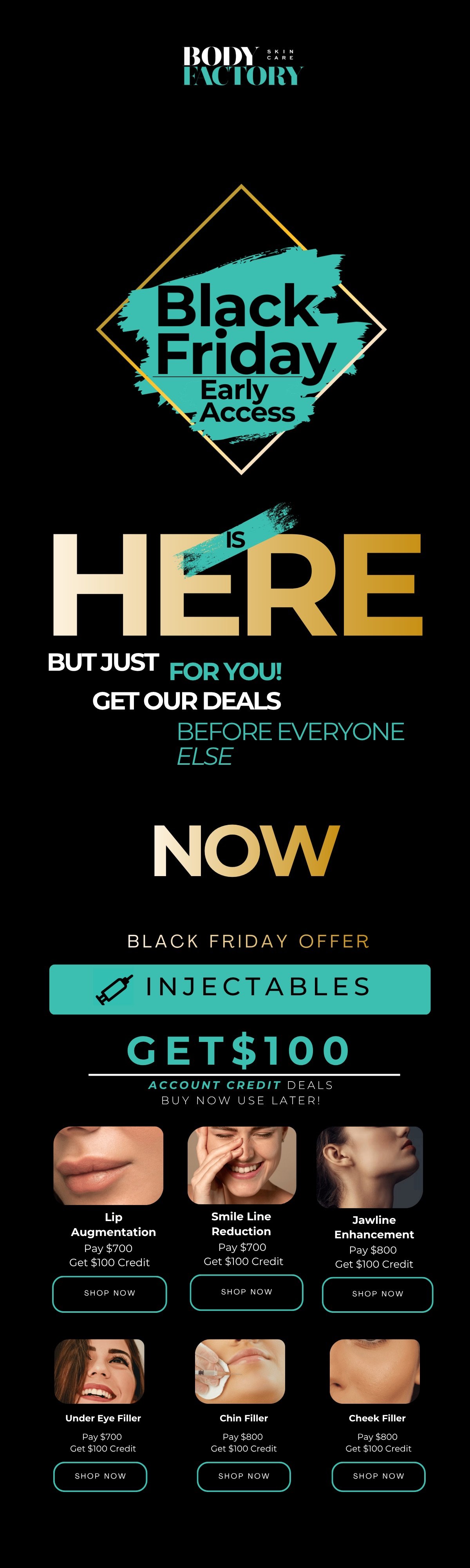 Black-Friday - Cyber Monday - Early Holidays — 1